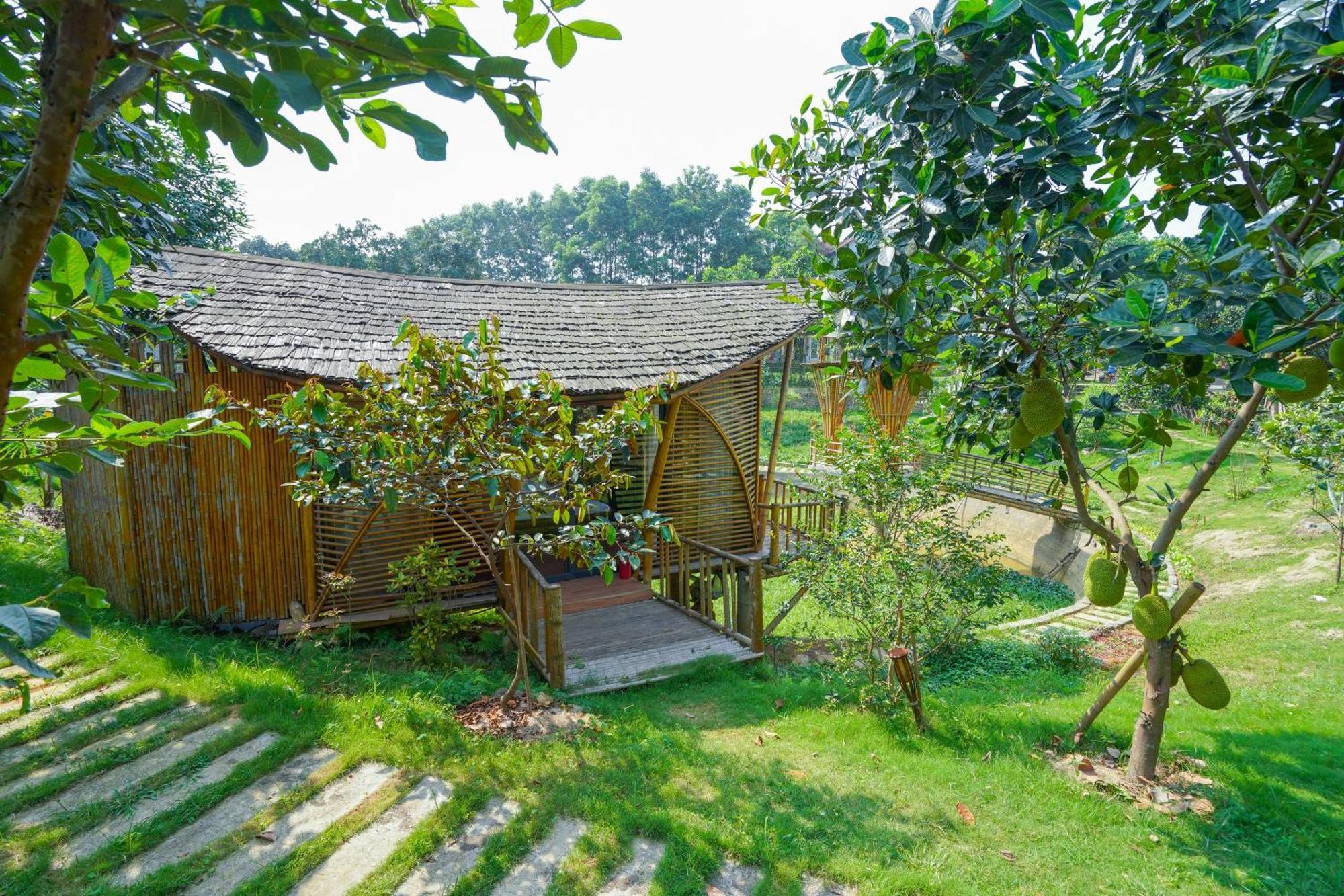מלון Trai Vang Little Bee House מראה חיצוני תמונה