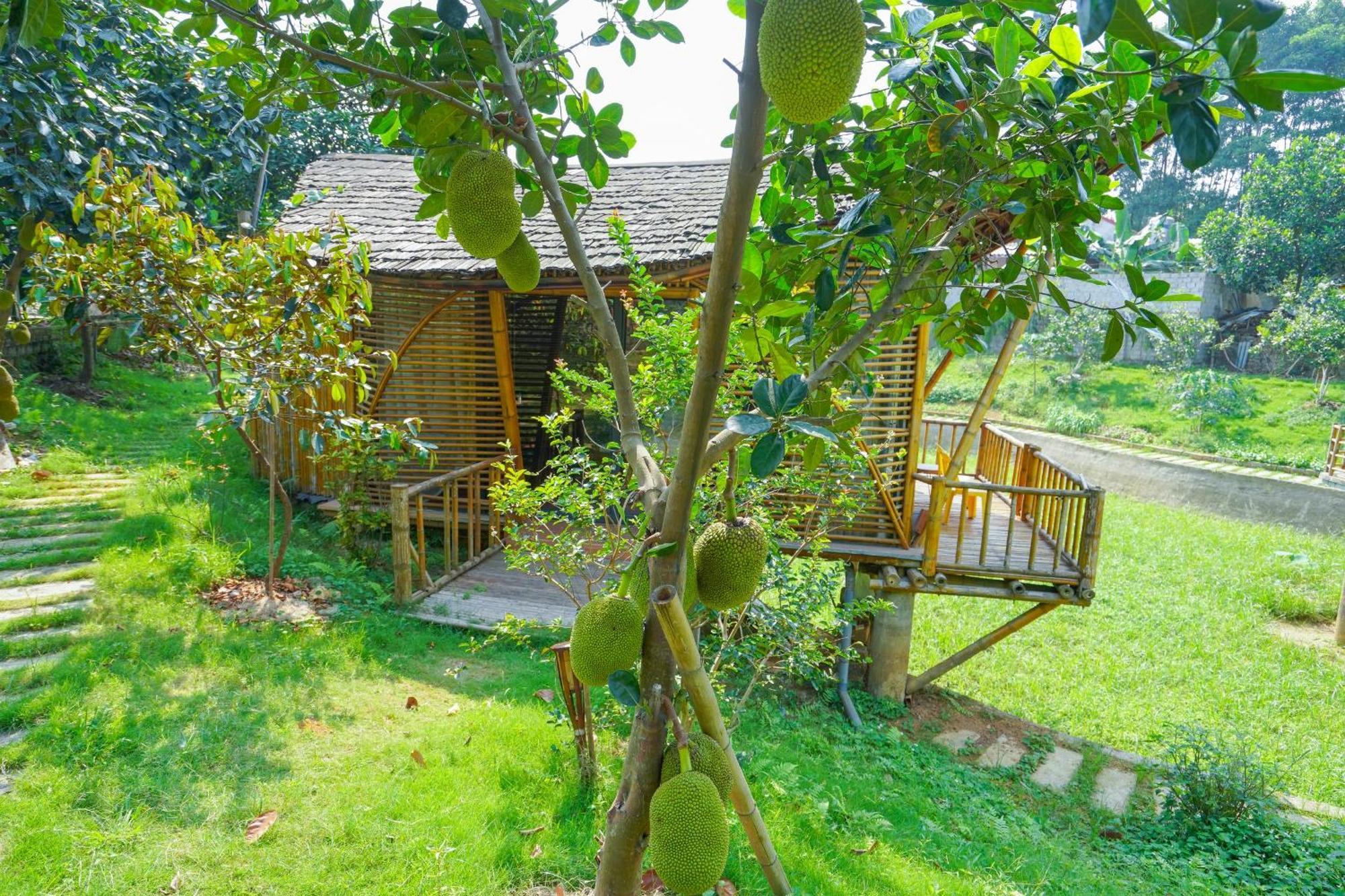 מלון Trai Vang Little Bee House מראה חיצוני תמונה